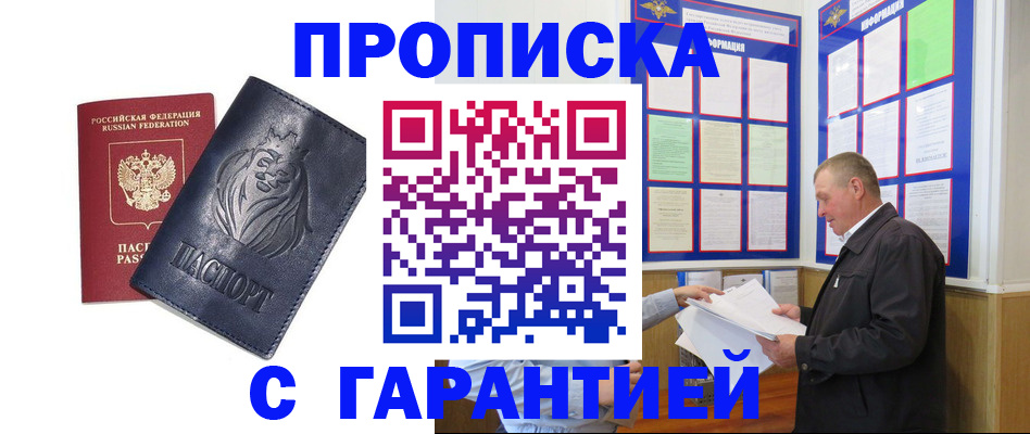 прописка поиск в Бабаево